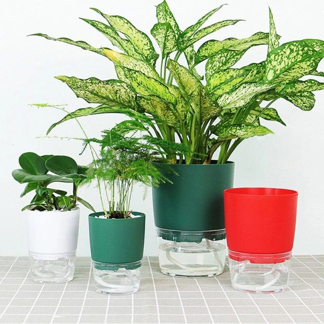 2 Layer Self Watering Plant Flower Pot Plants & Garden Color : Green|Red|White