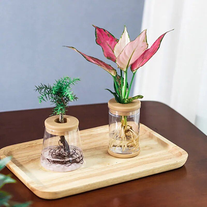 Mini Hydroponic Flower Pot Home Vase Decor Garden Supplies Type : Type 1|Type 2|Type 3 