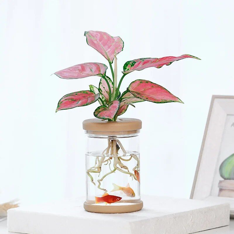Mini Hydroponic Flower Pot Home Vase Decor Garden Supplies Type : Type 1|Type 2|Type 3 
