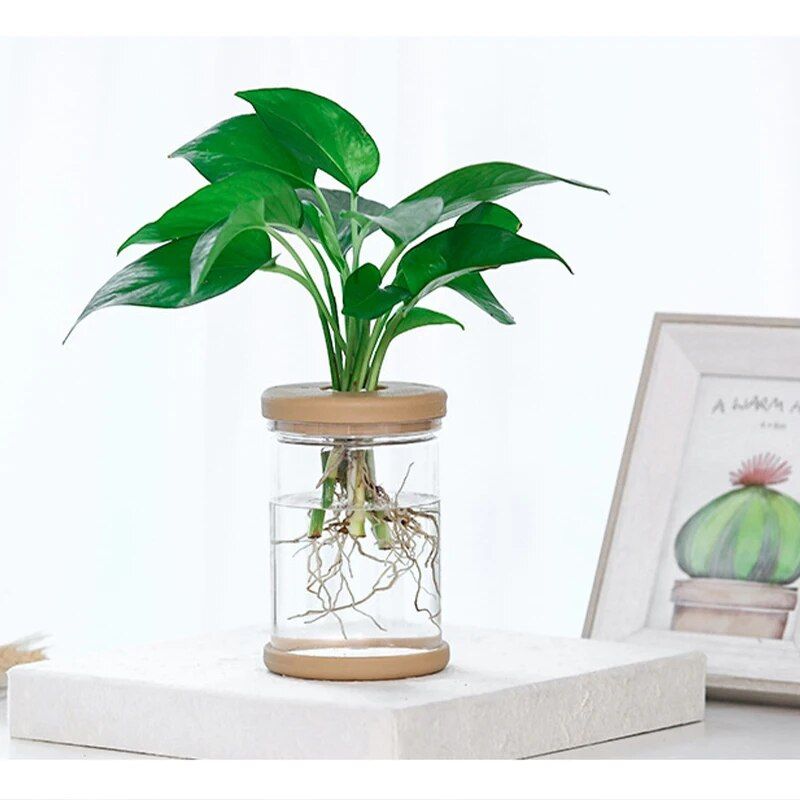 Mini Hydroponic Flower Pot Home Vase Decor Garden Supplies Type : Type 1|Type 2|Type 3 