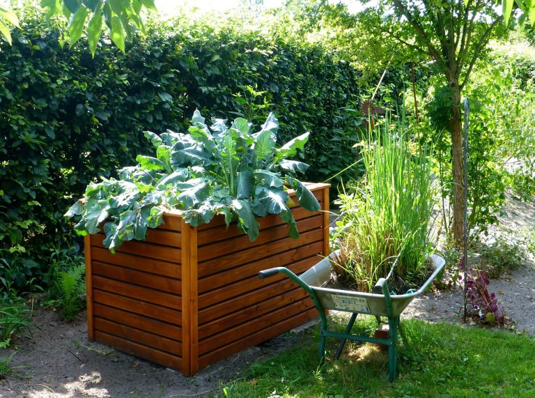 Mastering Raised Garden Beds: From Choosing Materials to Protecting Plants