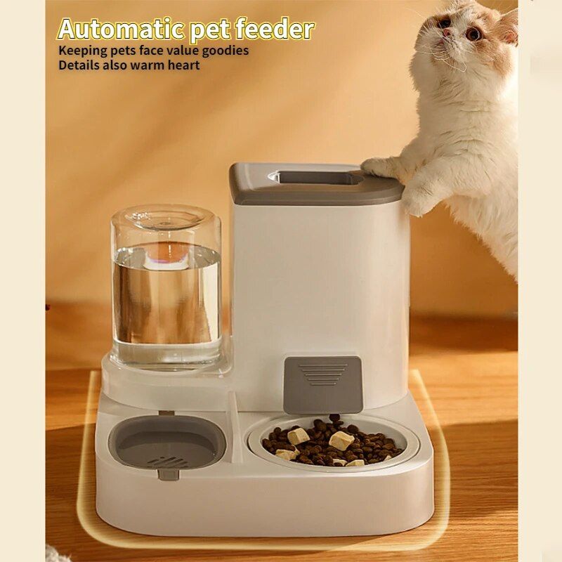 3.5L Automatic Pet Feeder with Stainless Steel Bowl Home Essentials New Arrivals Color : Green|Gray|Blue 