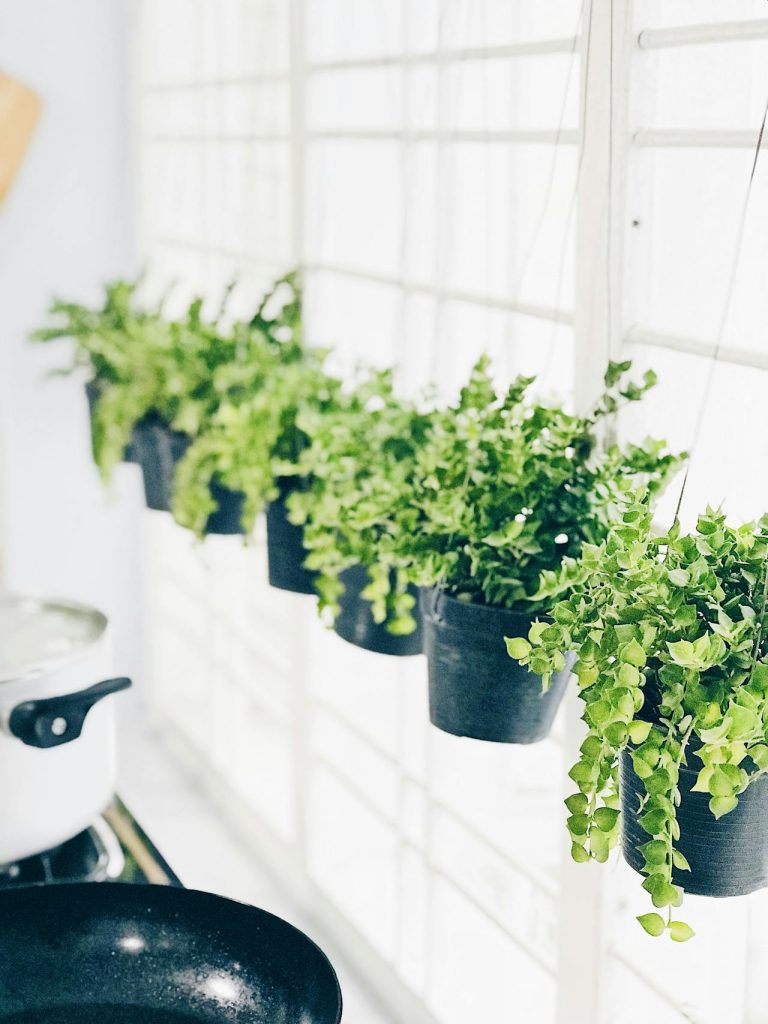 Hanging Pot Vegetables: 10 Easy Veggies to Grow in Small Spaces